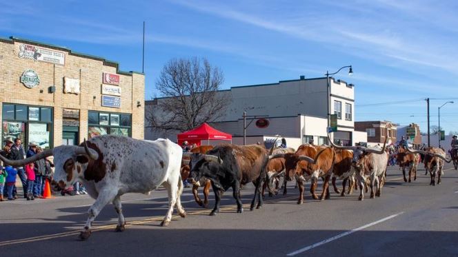 Stockyard Stampede Kicks off Tomorrow in the Stockyards with All Kinds of Fun for the Family