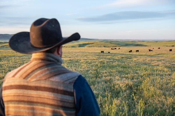 Cattlemen Remain Committed to Quality- Certified Angus Beef Closes Strong Fiscal Year
