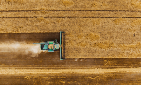 Hard Red Spring Crop Makes Strong Recovery, Shows Positive Quality Characteristics