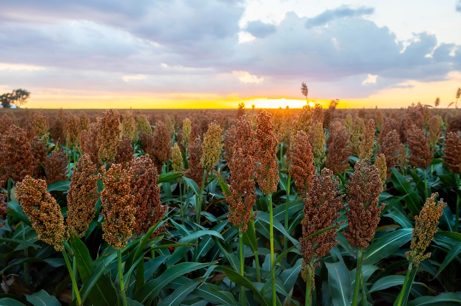 Researchers Studying Nitrogen for a Better Climate Future