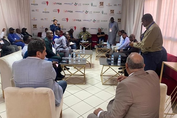 New Confederation For Poultry Development Forms In West Africa