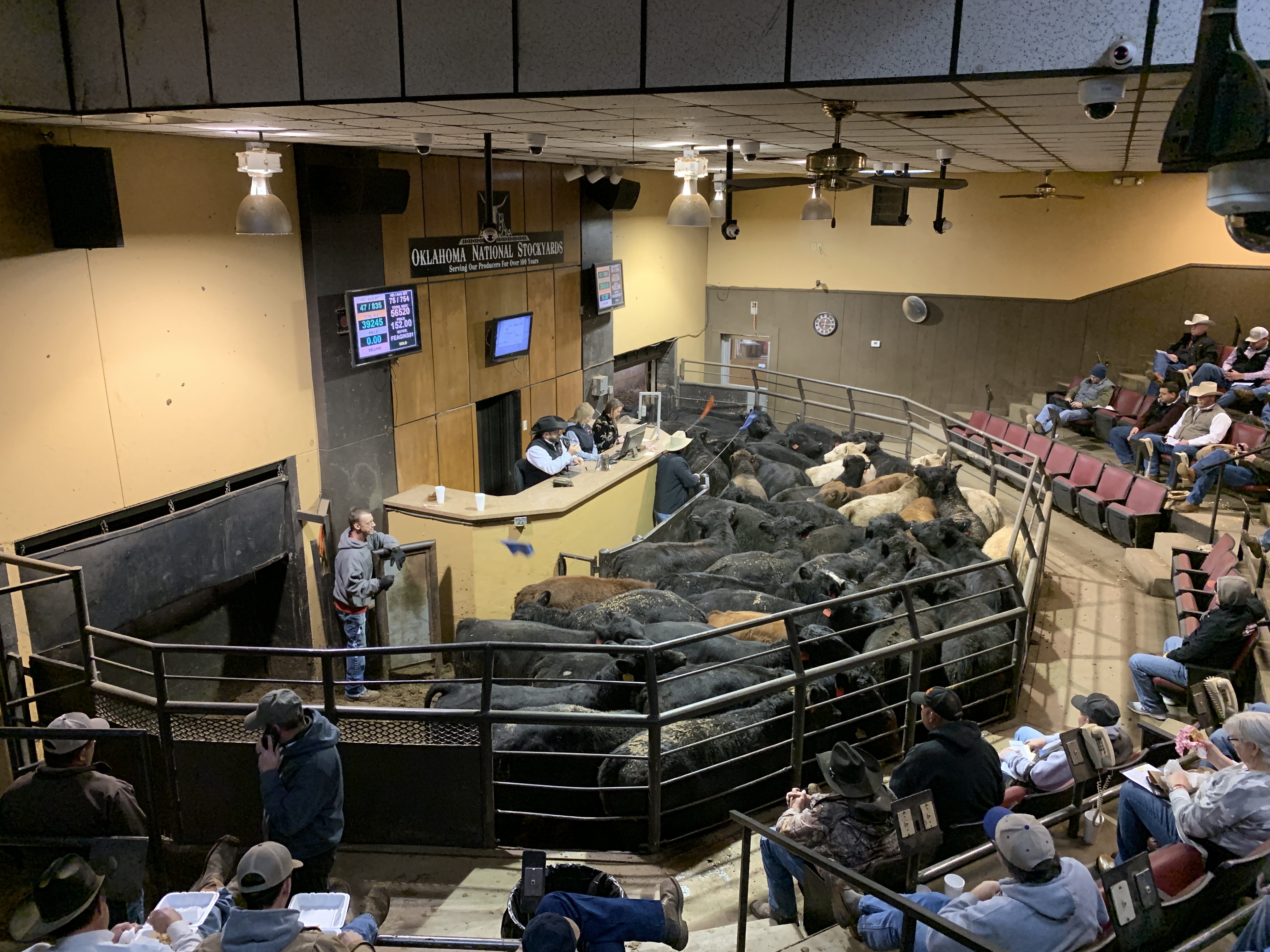 Final Stocker Feeder Sale of 2022 at Oklahoma National Saw $4 to $8 Higher Calf Prices and Steady to $4 Higher Yearling Bids