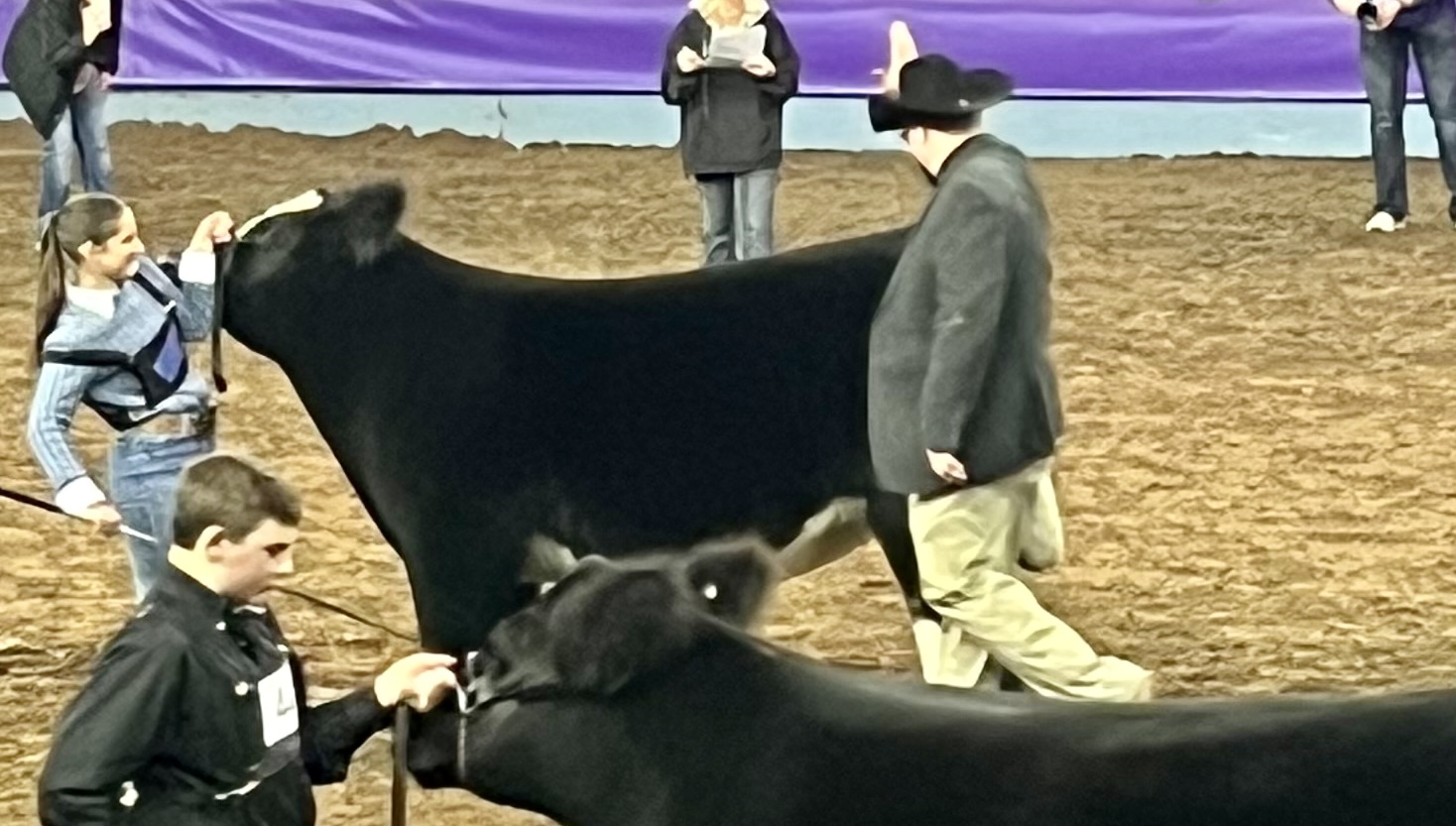 Final Champion at 2023 Cattlemen's Congress is Grand Market Steer Shown by Kirtsten Bezner of Dalhart, Texas