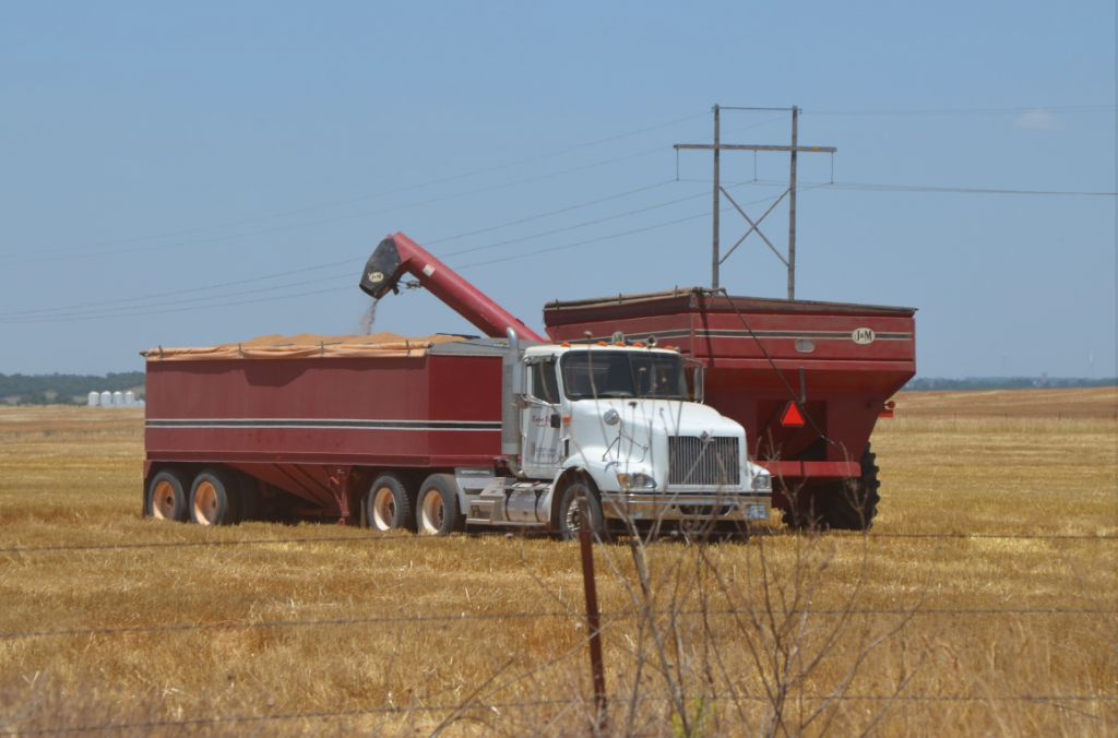 Wheat Harvest 20 Percent Complete in Oklahoma Amidst Scattered Rains Across the State