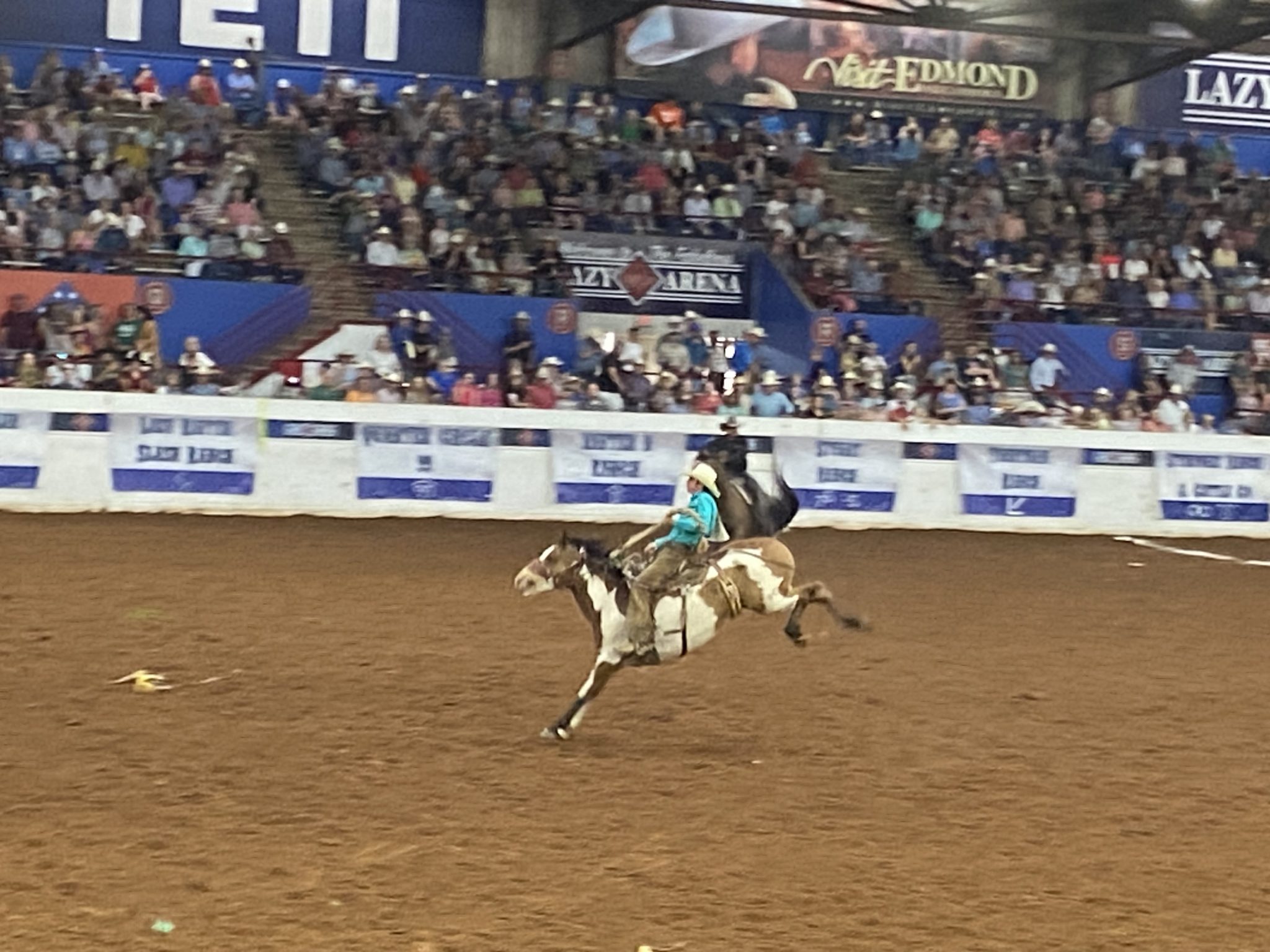 Whitmire Ranch & Sumner Cattle Company named BacktoBack Champions at