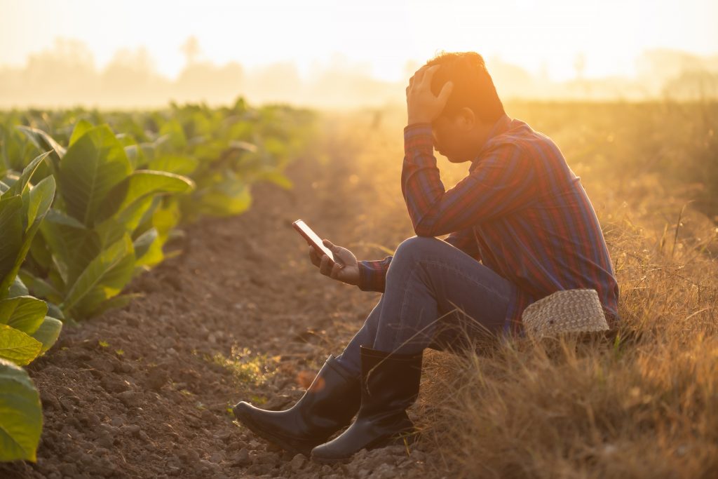 Farmer stressed in field