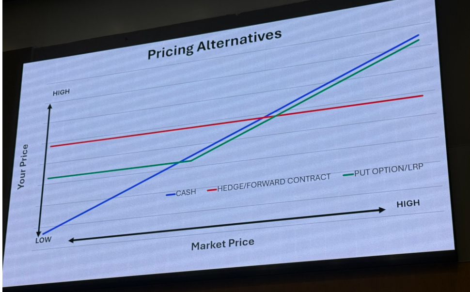 Pricing Alternatives 