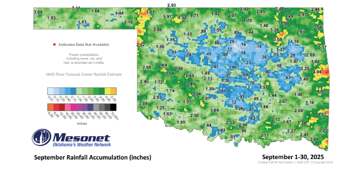 Rainfall amounts 