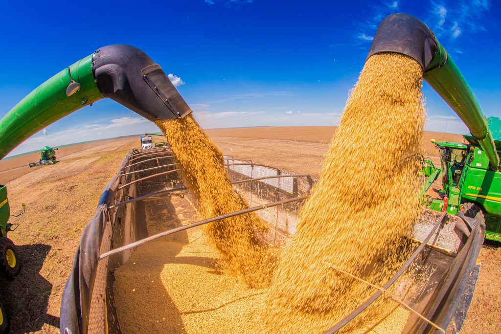 Trump Champions Soy Deal for Farmers