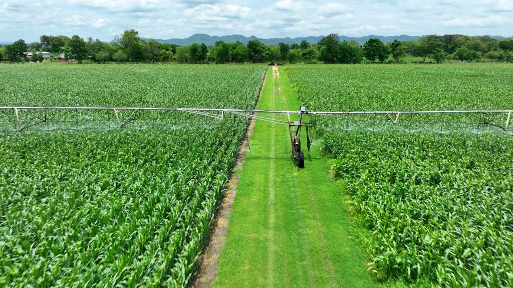 Tariffs to Hike 2026 Farm Chemical Costs: Which Inputs Face the Stiffest Price Increases?