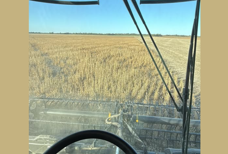 Oklahoma Producer Aaron Schantz Gives Peanut, Cotton, and Soybean Harvest Update