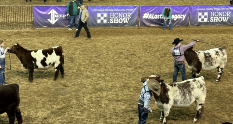 Cattlemen's Congress Sales a Big Part of the Success Story as Year Six Arrives