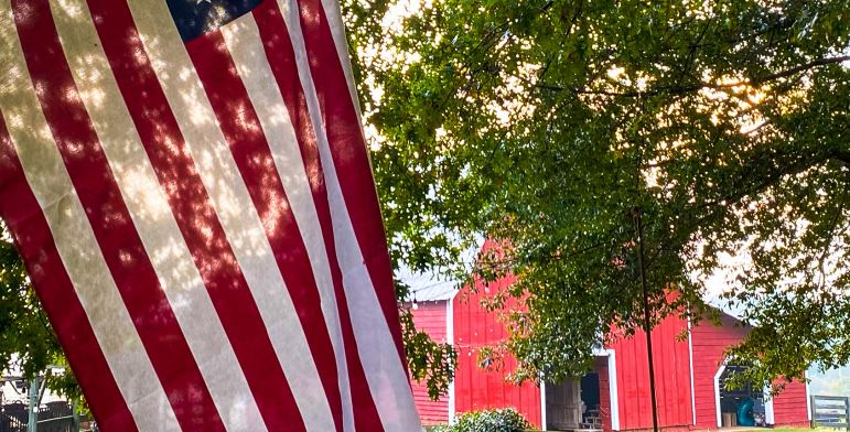 Farm Bill Perspectives, Part 1: Importance of the Safety Net