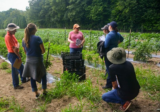 State Departments of Agriculture Offer Educational Opportunities for Farmers to Proactively Adopt New Food Safety Measures on the Farm