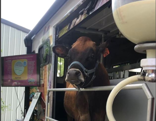 Teachers Headed back to School don&rsquo;t forget to request your Mobile Dairy Classroom Visit