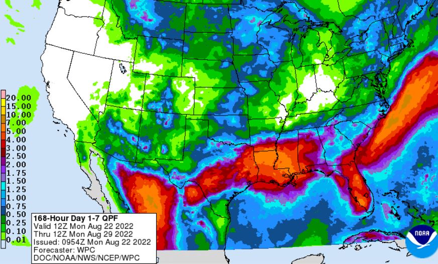 Scattered Showers across the State With More Rain Chances coming up Next Weekend 