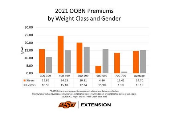 Capturing More of Your Calves' Value with Preconditioning