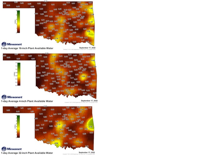 Wheat Grazing Prospects Dim says OSU's Dr. Peel