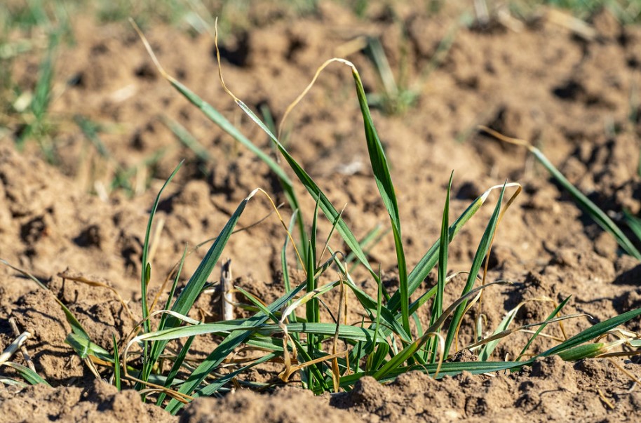 Applying Drought Lessons 10 Years Later