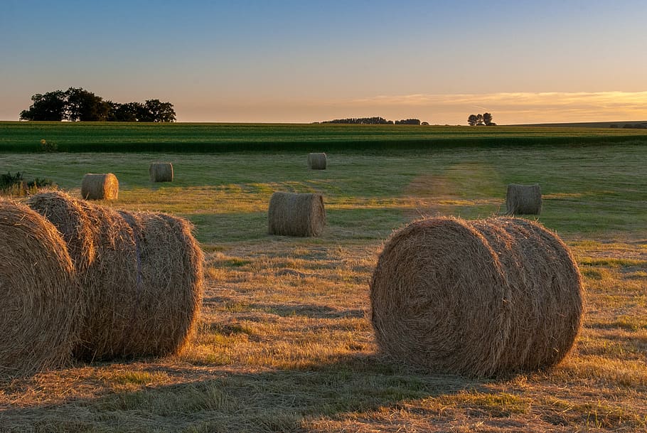 Oklahoma Hay Market Report for September 27th, 2022