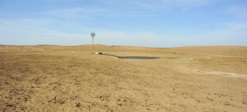 Federal Disaster Programs Available to Aid Producers in Forage Loss and Transportation 