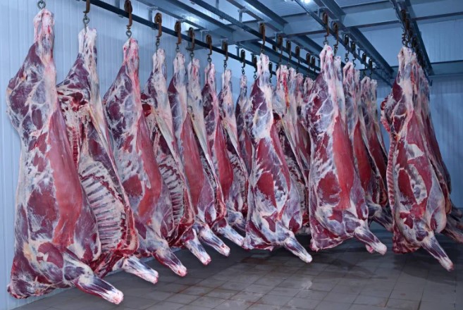 The Importance of Beef Trade to the Cattle Industry