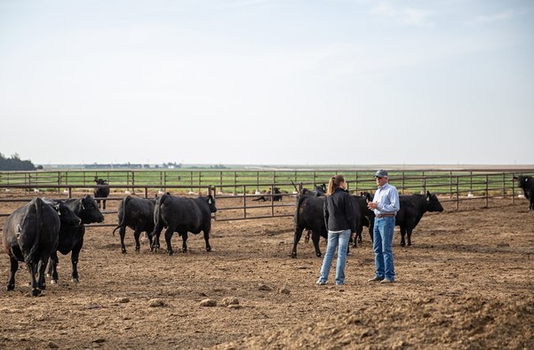Triangle H Named CAB Feedyard Commitment to Excellence Honoree 