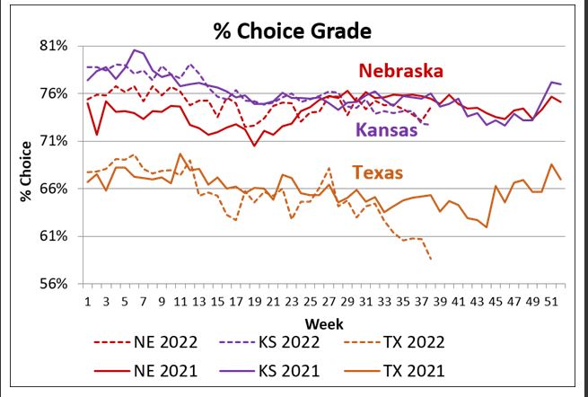 Market Update with Paul Dykstra-Texas Grade Tumbles 