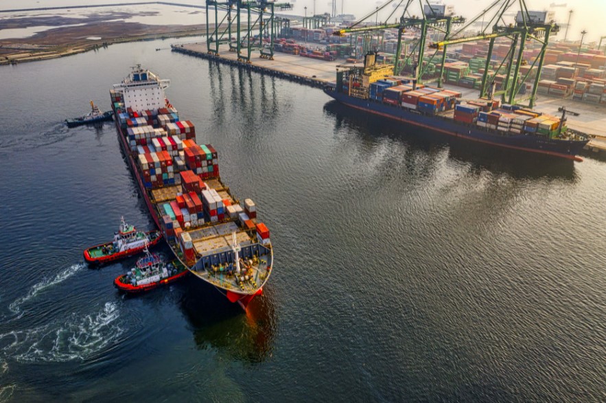 No Imports or Exports Would Result in a Smaller U.S. Beef Cattle Industry