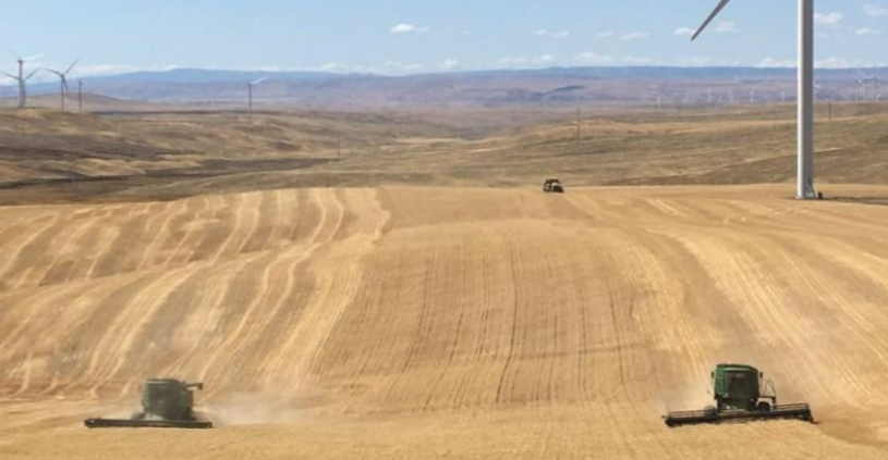 Korean Journalists Visit A U.S. Wheat Industry Open For Business