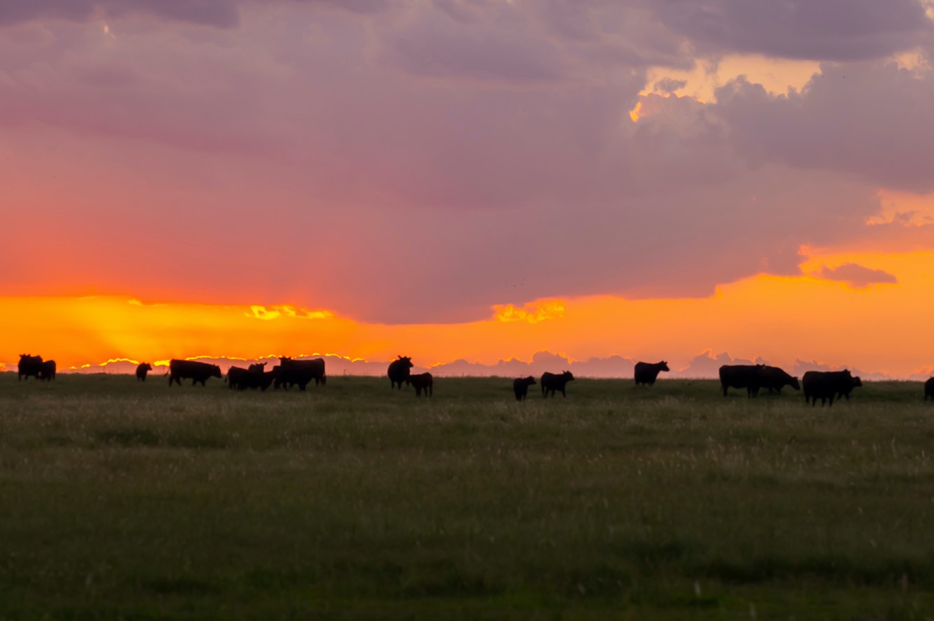 Hugh Aljoe Provides Methods to Begin and Maintain Good Land Stewardship