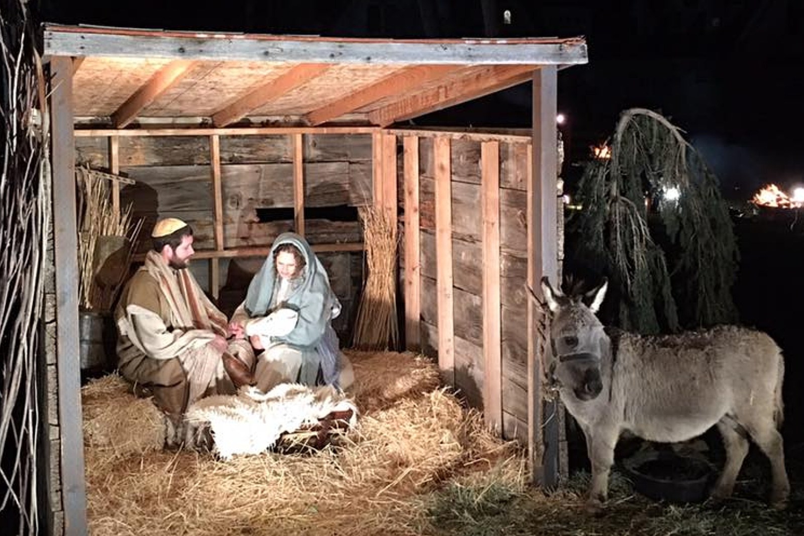 A Barnyard in Bethleham- The Surprise on a Starry Night