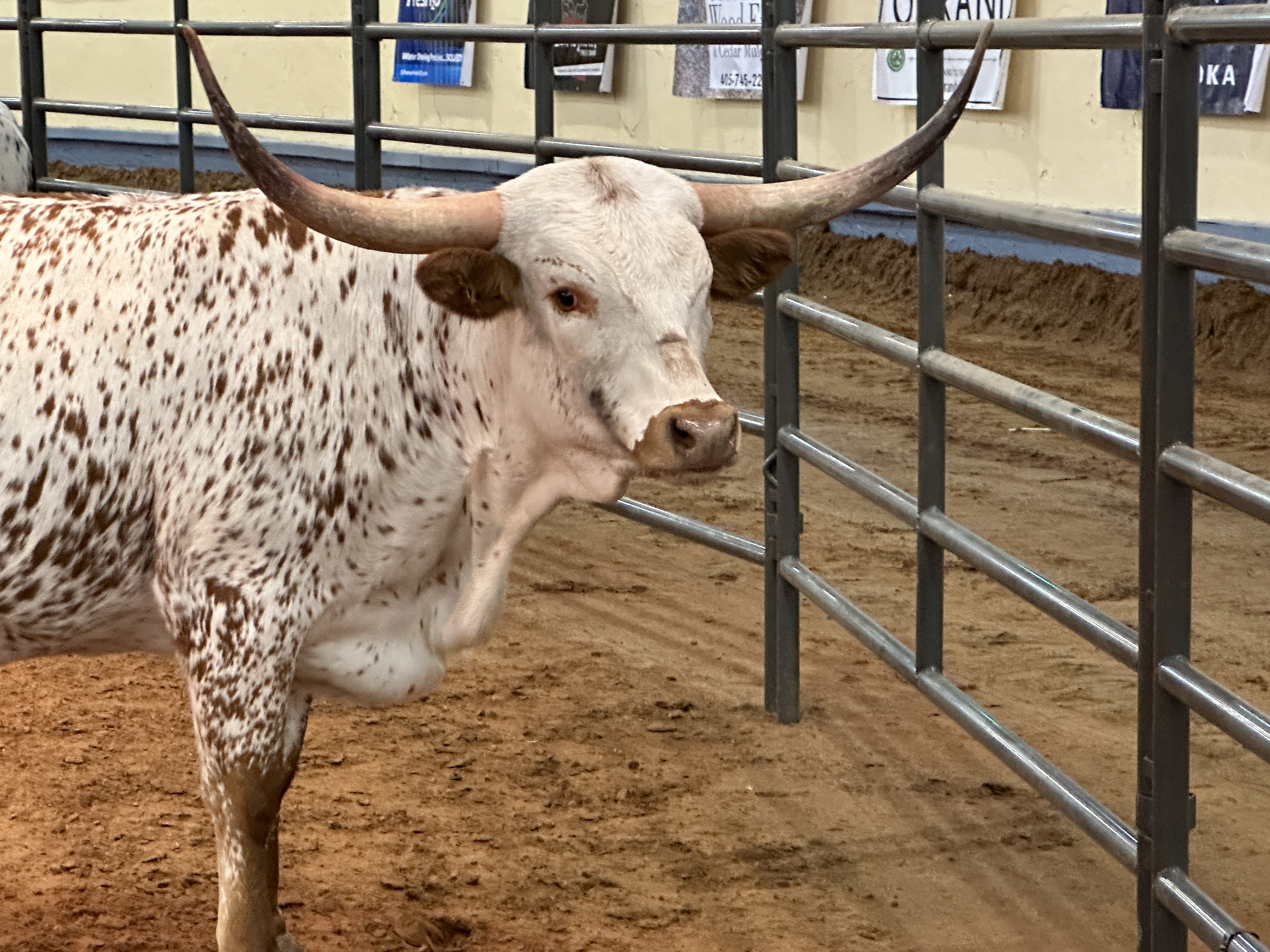 2023 Cattlemen's Congress Jumps Off to a Great Start