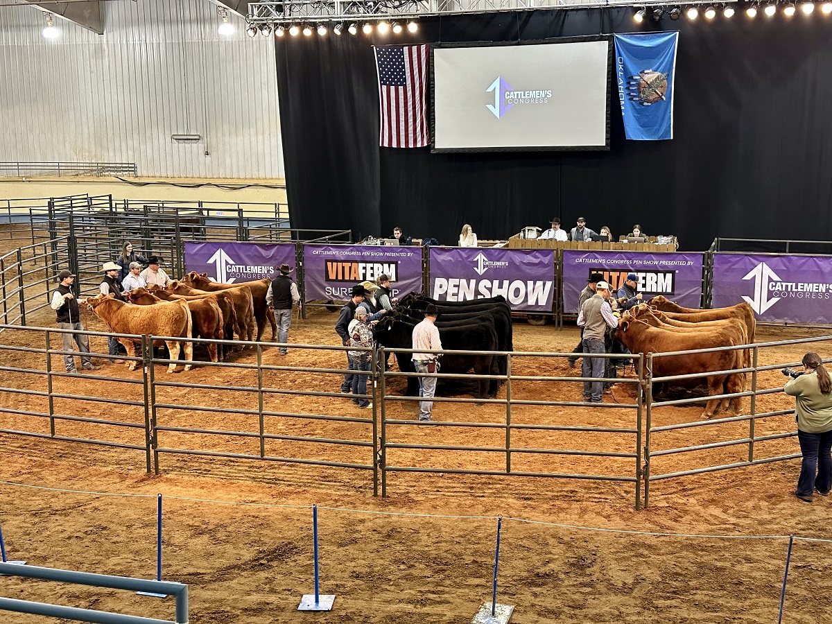 Tyler Norvell with Cattlemen's Congress Talks 2023 Supreme Drives and Commercial Cattleman Luncheon