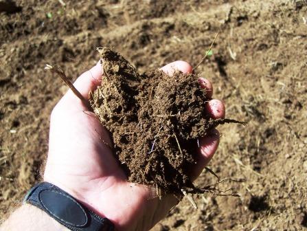 When It Comes to Improving Soil Health on Your Farm, Set Your Sights on the Long-Term Goals