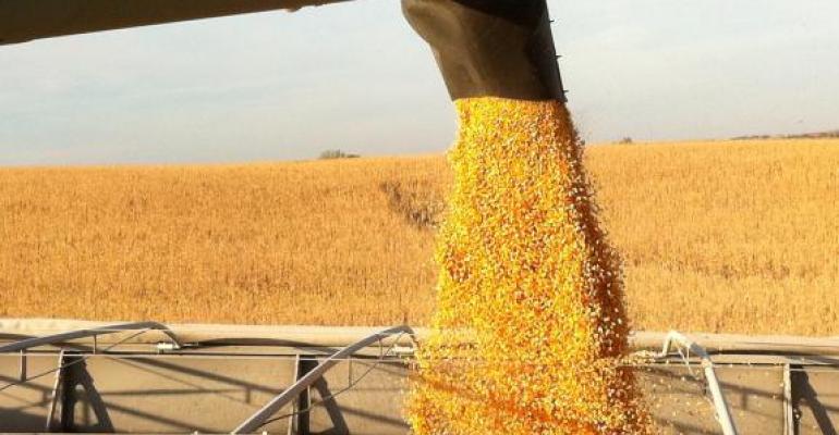 Oklahoma Farm Report - Oklahoma Grain Elevator Cash Bids as of 2:00 pm ...