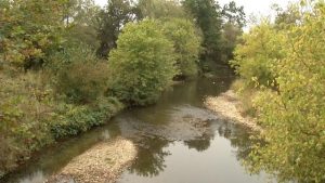 Illinois River