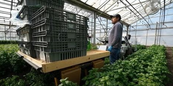 Amiga by farm-ng: The Multi-Purpose Robot for Farms Big and Small