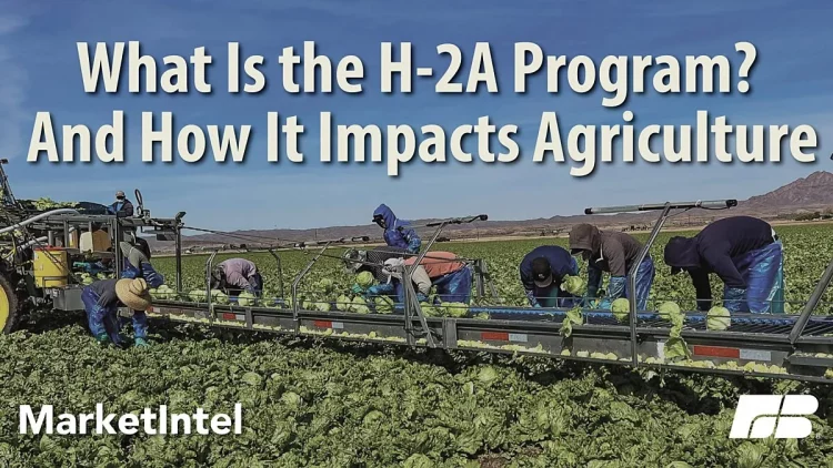 H-2A.jpg-750x422.webp