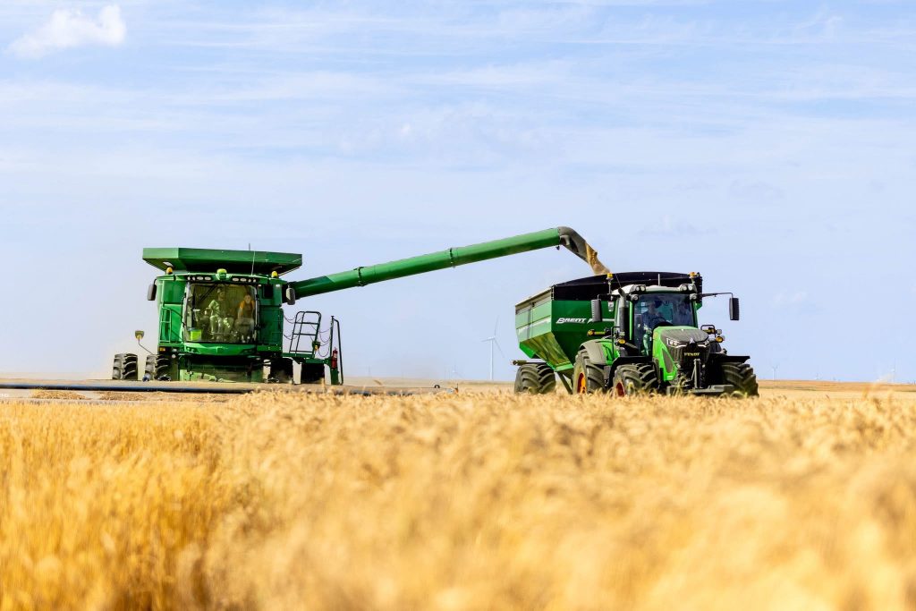 Wheat harvest in Oklahoma