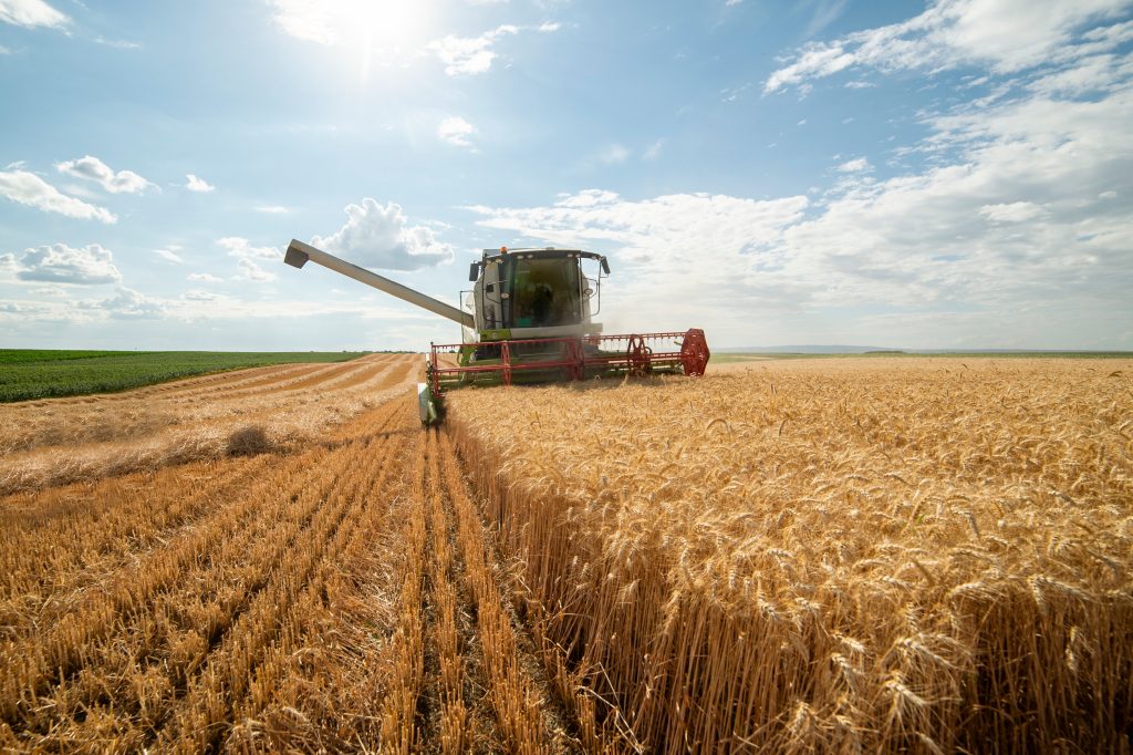 Combine in wheat harvest 