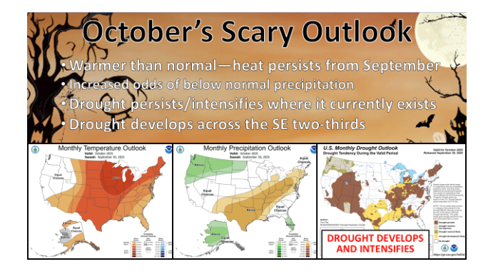 October forecat outlook 