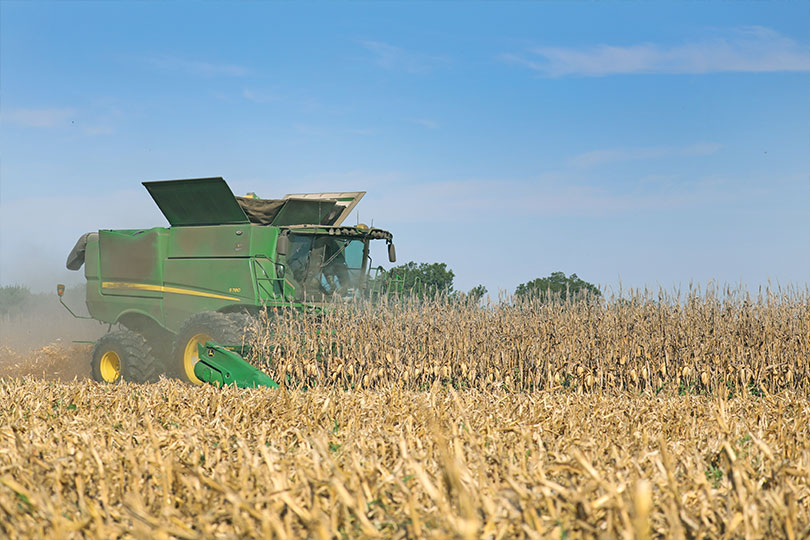 Corn Harvest