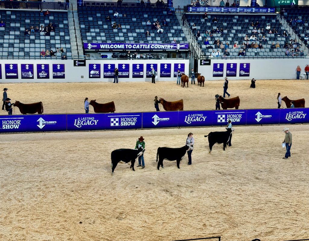 OG&E Show Ring January 6, 2026