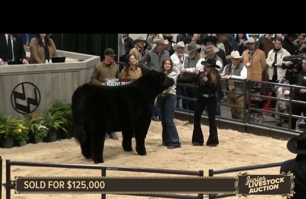 Reserve Grand Steer Denver 2026