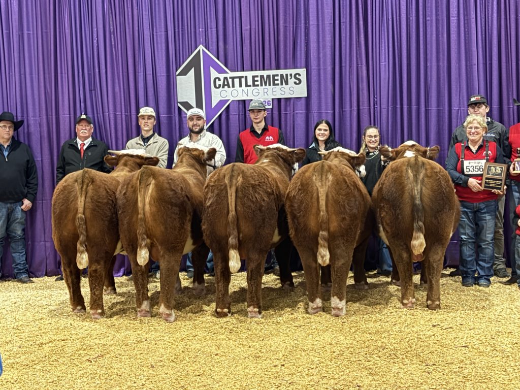 Hereford Pen of 5 Bulls- 2026 Cattlemen's Congress