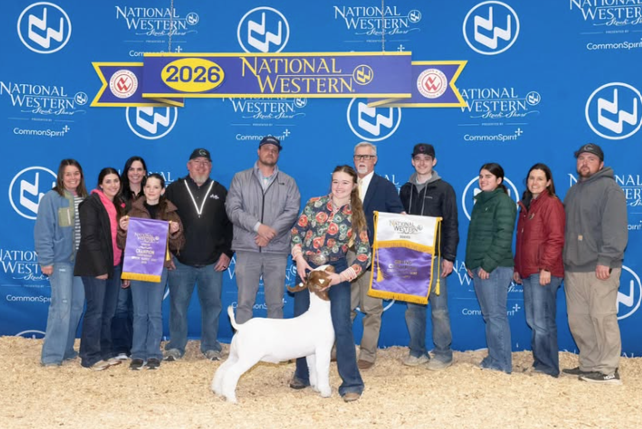 Grand Champion Mkt Goat Denver 2026