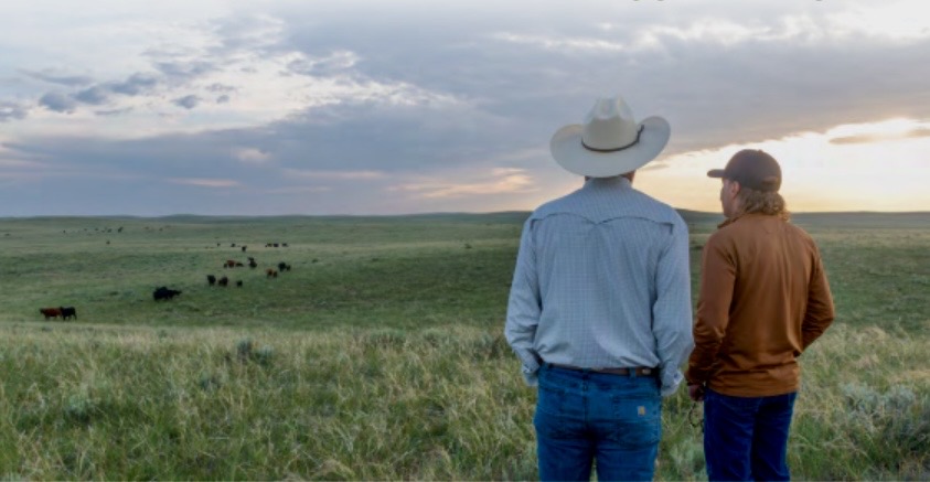 Succession Planning for Beef Cattle Operations