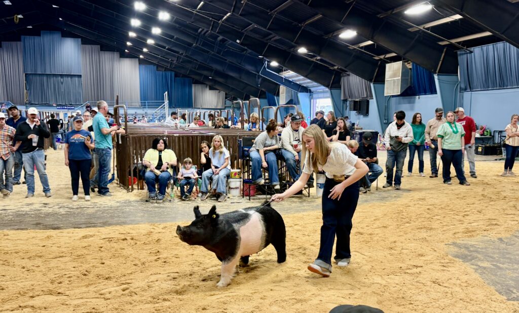23rd Annual Night of Stars Gilt Sale Set for Tuesday, March 17th