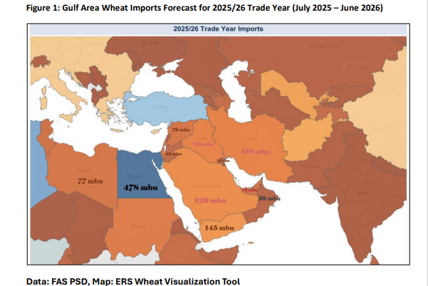 Dr. Todd Hubbs: Geopolitical Tensions and Upcoming Reports Stir Wheat and Grain Markets